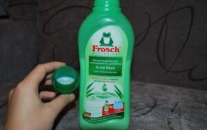 Frosch