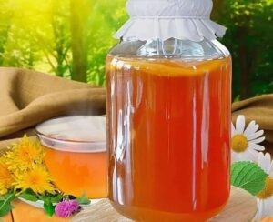 очистить утюг от накипи чайным грибом