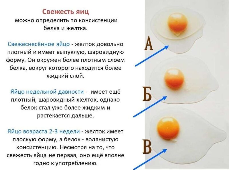 белки свежих яиц