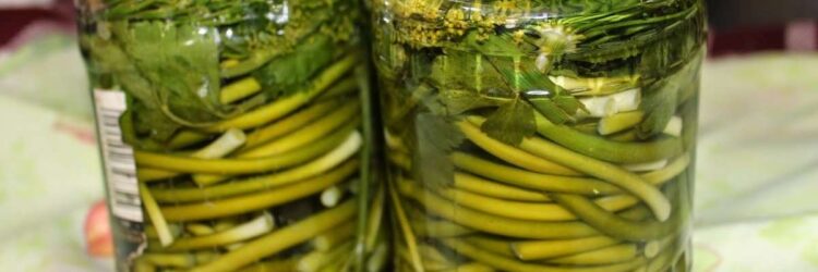 15 очень вкусных и простых рецептов приготовления чесночных стрел на зиму