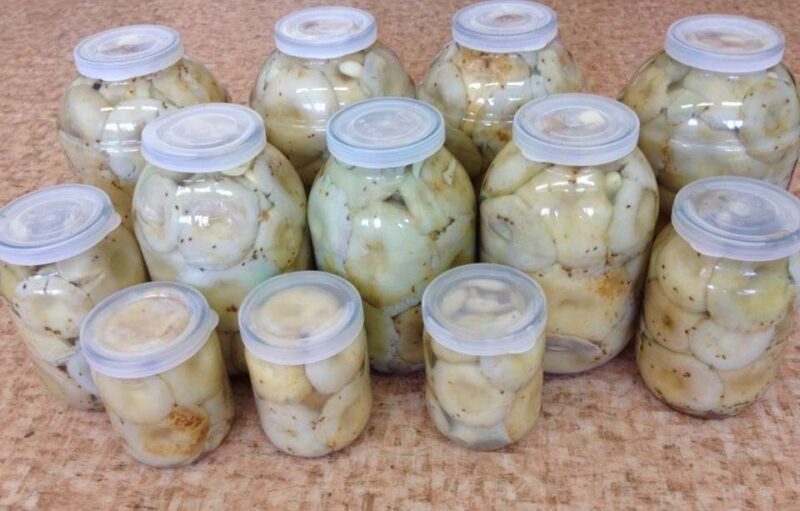 Хрустящие маринованные грузди без стерилизации на зиму