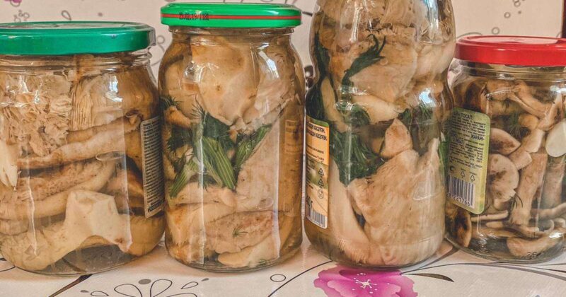 Маринованные грузди без уксуса на зиму