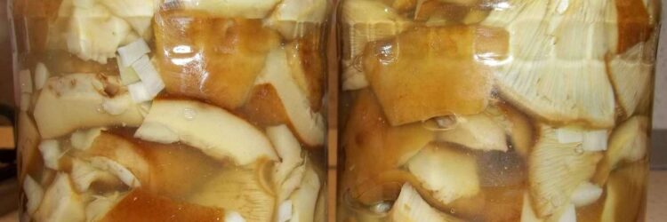 10 очень вкусных и простых рецептов маринованных груздей на зиму в банках