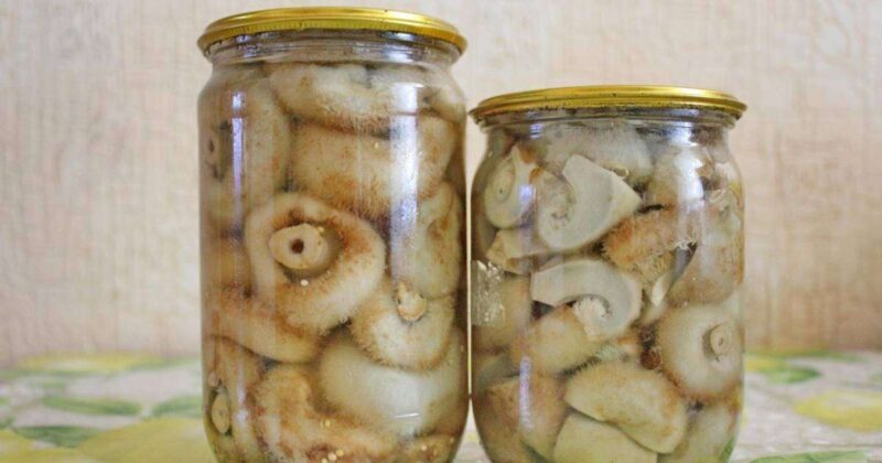 Маринованные грузди с луком на зиму в банках