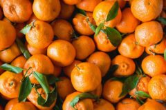 Как выбрать мандарины